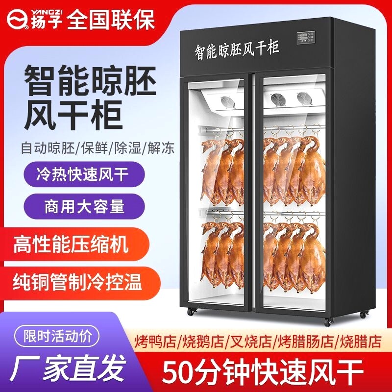 扬子晾鸭柜商用烧鹅烧鸭烧腊挂肉柜保鲜烘干机烤鸭风干智能晾胚柜