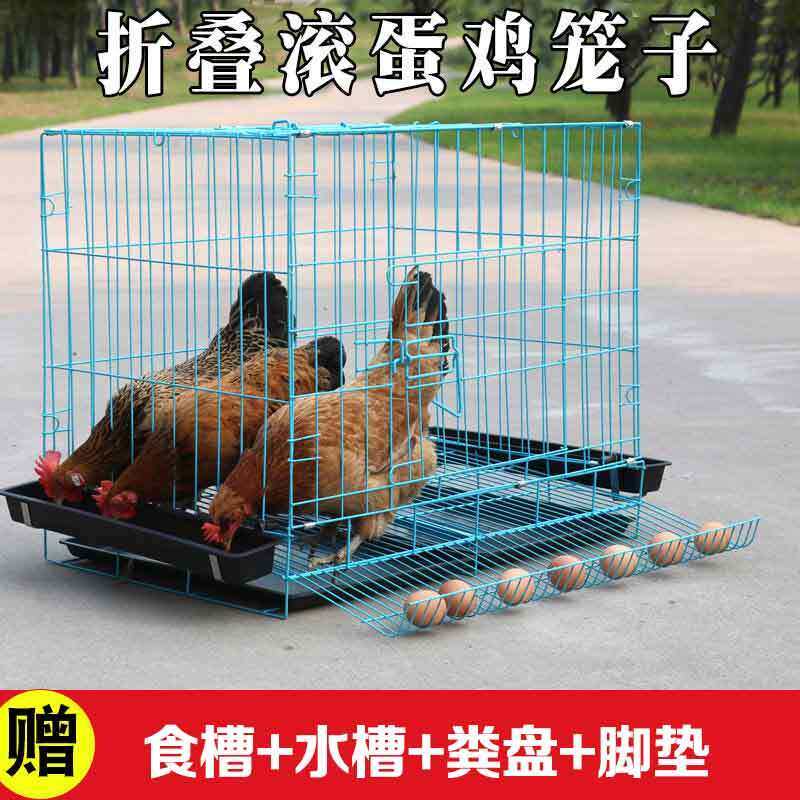 防啄蛋鸡窝鸡下蛋防吃专用窝鸡笼子养鸡笼家用小号蛋鸡笼鹌鹑养殖