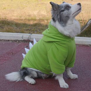 秋冬季大狗狗恐龙金毛带帽衣服中大型犬萨摩耶边牧哈士奇拉布拉多