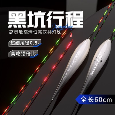 加长LED夜光漂硬尾日夜两用鲫鱼翘嘴鱼漂咬钩变色行程浮漂