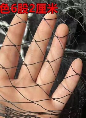 黑色线大棚鱼塘防网果园防户网家用防网天网户外养鸡网围鸡网定做