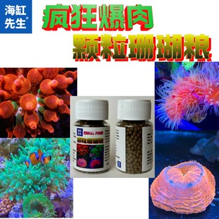 颗粒珊瑚粮【疯狂爆肉】奶嘴海葵营养炮仗花脑类喂食颗粒珊瑚粮饲