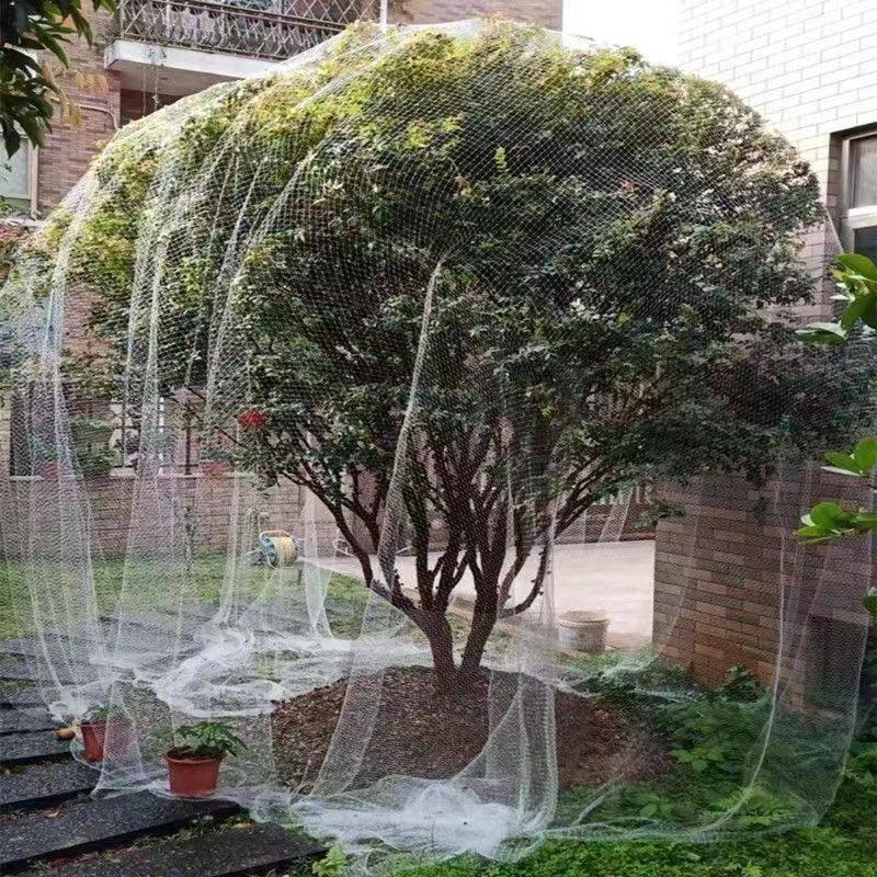 果树防鸟网樱桃树枇杷树嘉宝树葡萄尼龙网阻挡所有鸟类果园防护网