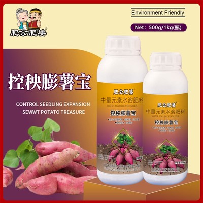 控秧膨薯宝薯类专用控上促下膨大薯块防畸形控裂果耐储存高产肥