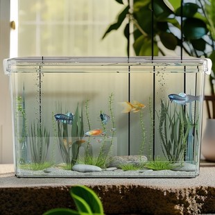 鱼缸生态箱高清高透PET金鱼缸饲养水族乌龟仓鼠生态造景收纳箱子