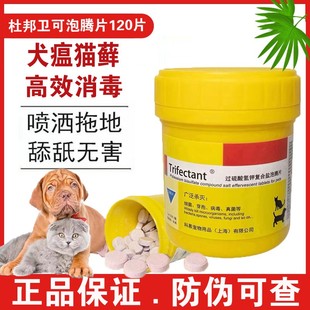 杜邦卫可消毒剂宠物猫咪室内环境消毒抑菌狗狗除臭家庭泡腾片喷雾