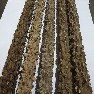 痒痒挠花椒木野生花椒木手棍按摩花椒木原木