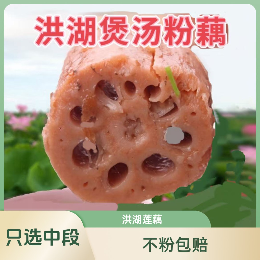 湖北洪湖粉莲藕新鲜煲汤九孔莲藕现挖现发面藕粉藕3斤/5斤