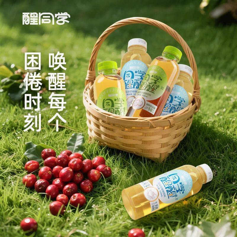 新马黛茶植物饮料咖啡果皮草本茶无糖饮品500ml整箱0糖0脂中秋送