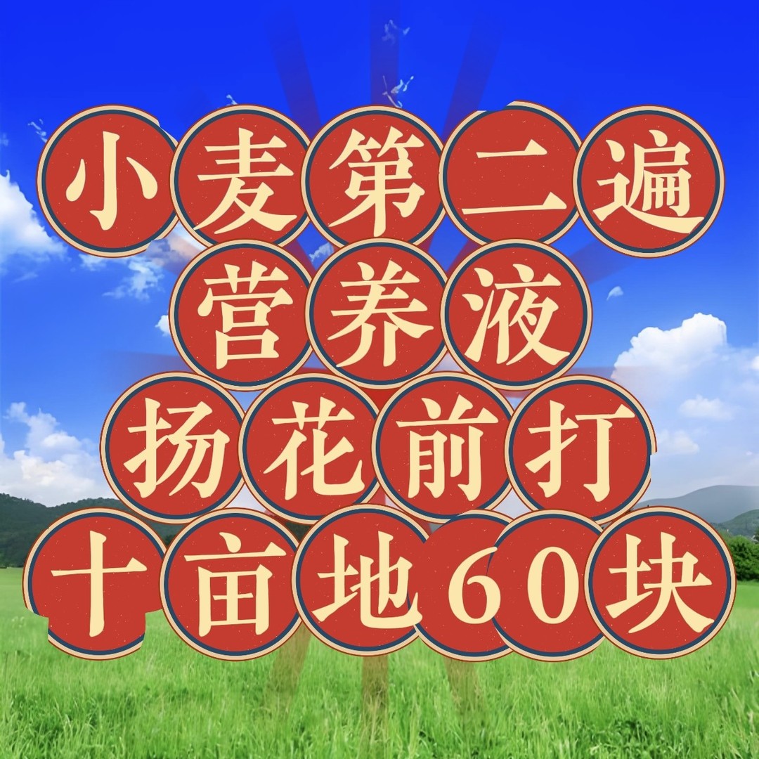 小麦第二遍含营养液十亩装