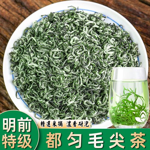 毛尖2026新茶特级一芽一叶贵州明前茶叶高山云雾浓香型绿茶叶