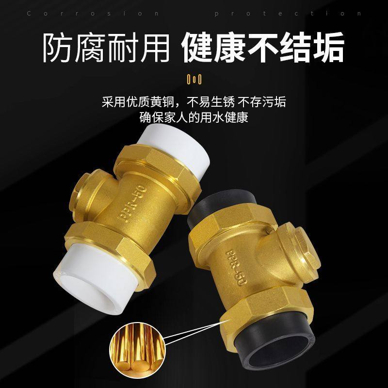 水管指挥阀pe止回阀铜卧卫生间双倒流单向阀家用配件逆止阀4/6分D