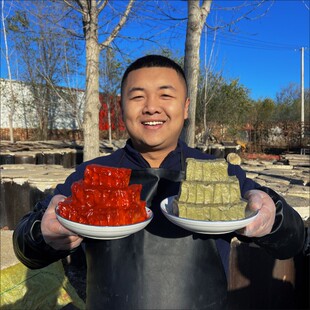 袁大鲁双拼组合优选缸芯臭豆腐红腐乳