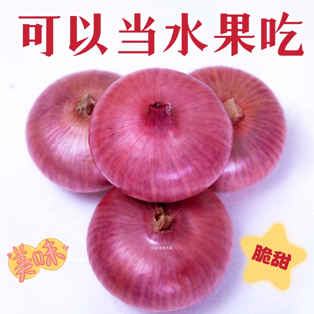 山东新鲜扁平二红水果洋葱可生吃微甜微辣5斤时令蔬菜
