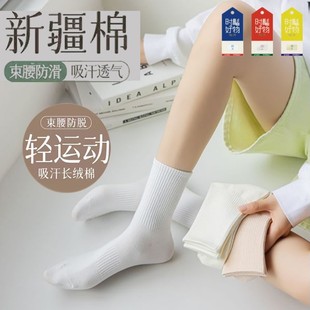 女加长棉袜春夏糖果色运动袜束腰防滑中筒袜春日纯色in 五双装