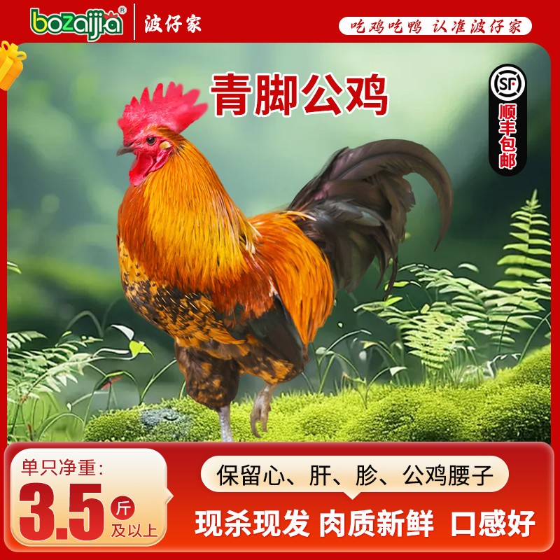 bozaijia波仔家青脚公鸡单只净重1.75kg*2只