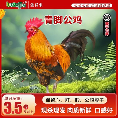 bozaijia 波仔家青脚公鸡单只净重1.75kg* 2只