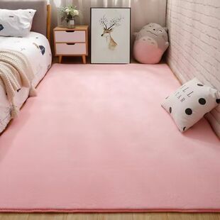 铺地面的垫子简约北欧客厅家用地垫茶几卧室床边房间定制满铺大面