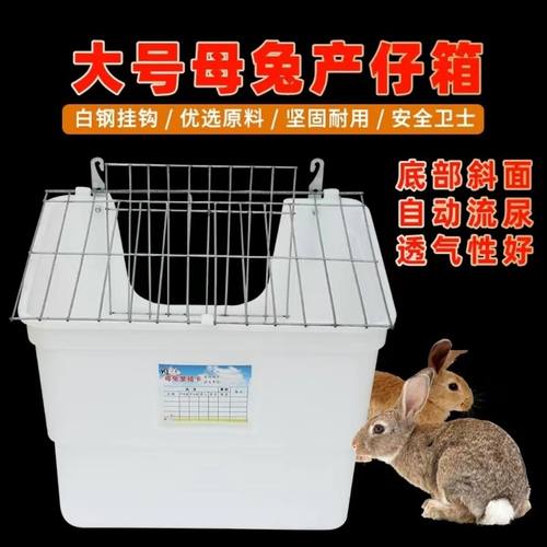兔子大号外置产箱母兔产箱兔子产房兔子产崽箱兔子外挂产箱