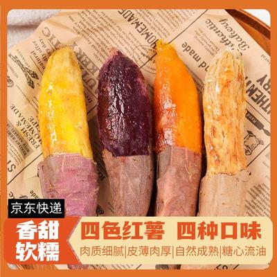 四色蜜薯四大薯王烟薯哈蜜薯榴莲蜜薯山东新鲜红薯地瓜番薯4.5斤