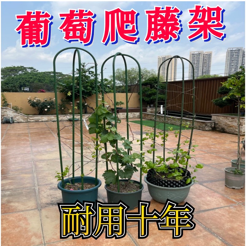 家庭阳台U型葡萄架花架户外阳台月季花园爬藤架不锈包塑钢管支架