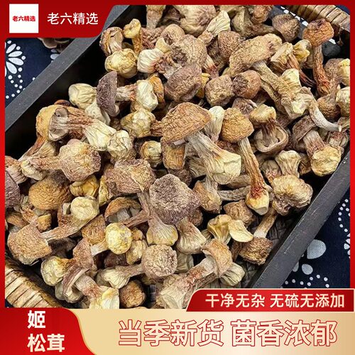云南姬松茸干货无硫熏250g精选