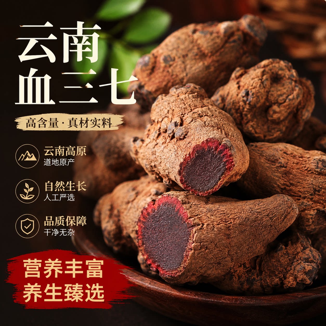 正宗云南血三七泡酒中药材中草药