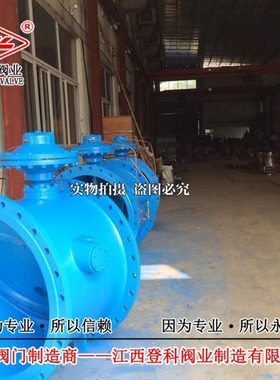 铸钢微阻缓闭蝶式止回阀HH49H-10C DN800水利控制阀 硬密封逆止阀