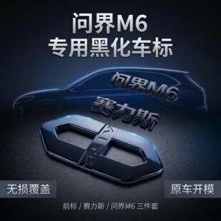 问界M6专用黑化车标镜面车窗饰条运动型无损覆盖原车开模车身饰条