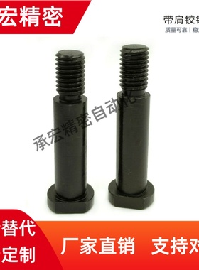 CLBGNU5/12-20/22/24/25/30/35/40/50铰链销CLBGNU带肩螺帽固定型