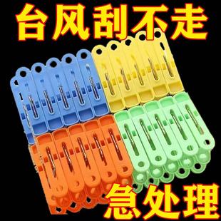 衣夾防風小夾子晾曬夾防掉塑料夾子曬衣夾衣物夾子曬襪子夾子 熱賣