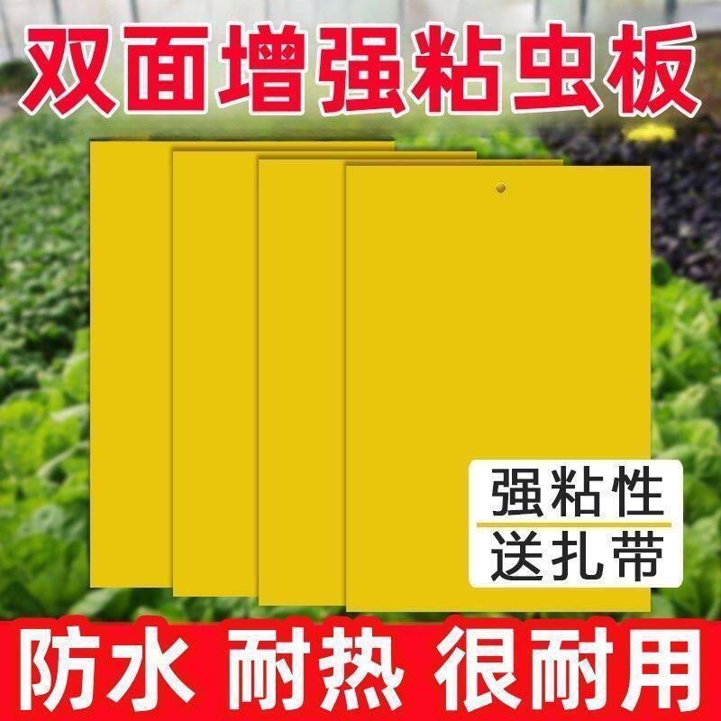 双面黄蓝诱虫板果园大棚用