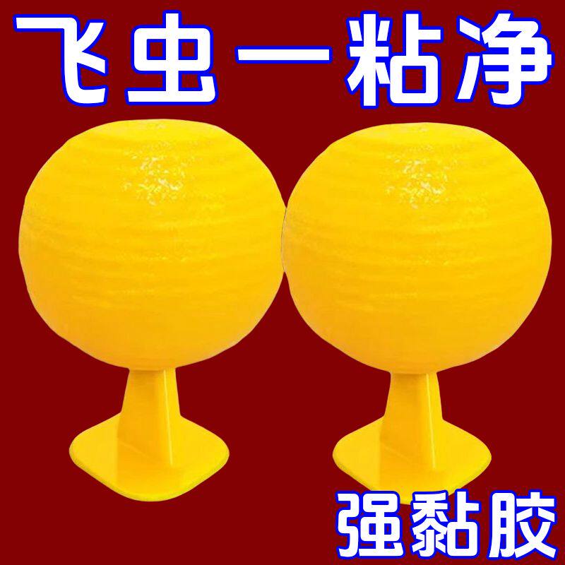 室内飞虫果蝇苍蝇蚊虫