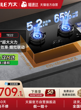方太TE22燃气灶煤气灶天然气液化气空气舱家用双灶台官方01
