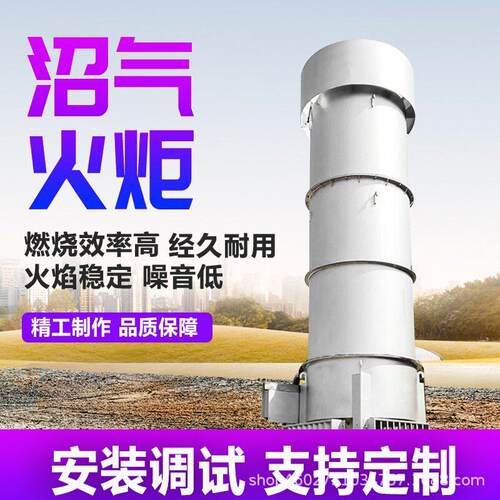 400立方沼气燃烧火炬系统垃圾填埋场污水处理厂废气燃烧处理设备