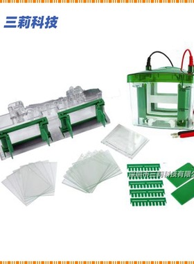Bio-Rad Mini-Protean小型垂直电泳槽 1658001电泳仪垂直电泳槽