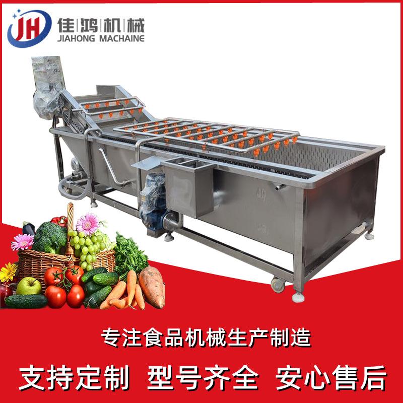 大型全自动果蔬高压喷淋气泡清洗机蔬菜黄花菜清洗线佳鸿