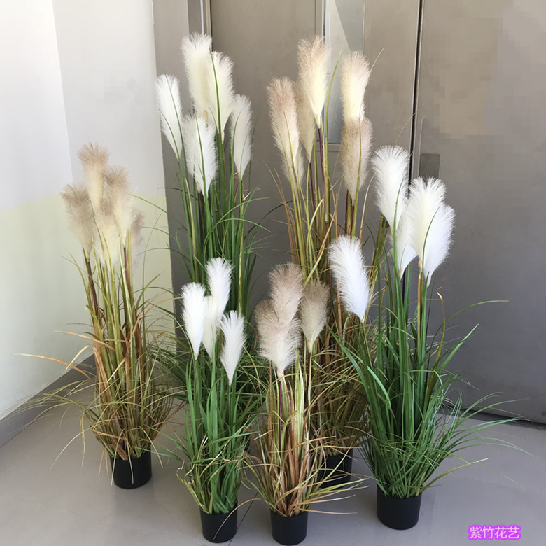 盆栽干花芦苇五谷杂粮道具单只/束田园植物装饰落地绿植物跨境