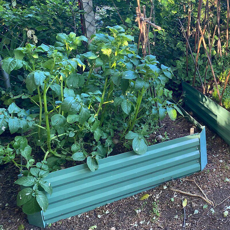 镀锌铁皮花圃花园种植床跨境电商超市花盆金属种植箱多尺寸花床