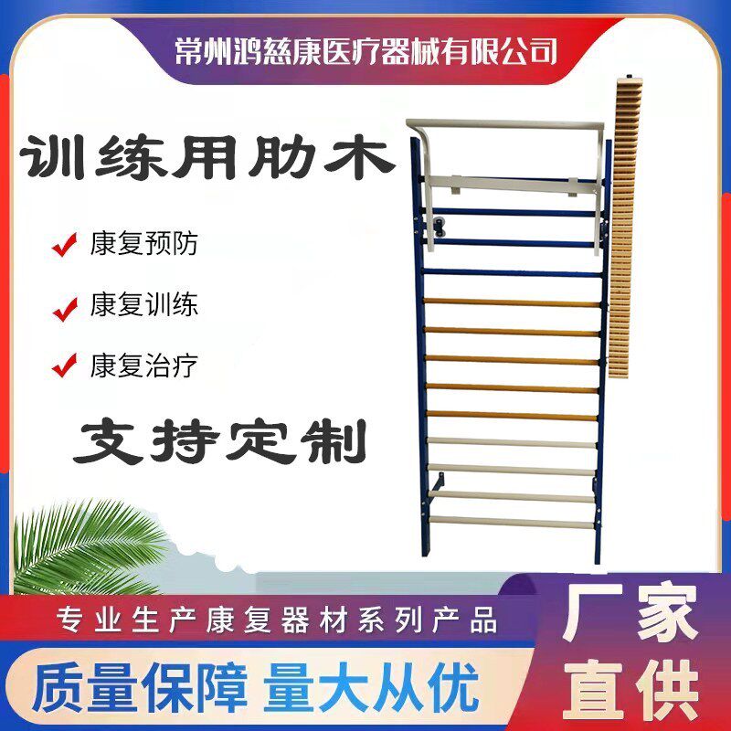 厂家批发室内训练用肋木架上肢躯干牵引训练架滑轮吊环肩梯