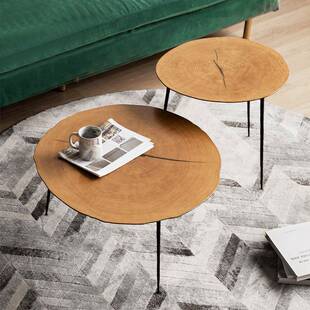 北欧轻奢创意圆茶几设计师铁艺年轮客厅休闲实木小茶几桌组合