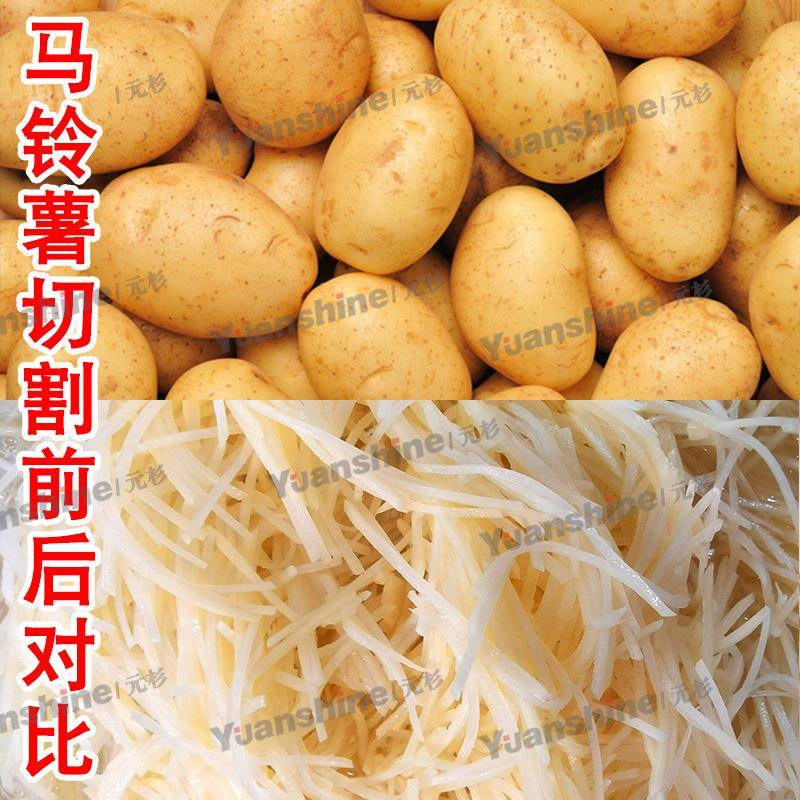 元杉销售胡萝卜切长丝机土豆红薯长片切片机杏鲍菇辣菜切丝机