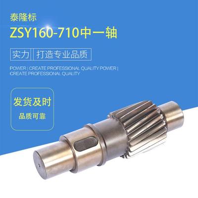 来图制定硬齿面铸钢铸铁齿轮减速机齿轮轴ZSY160-710齿轮轴