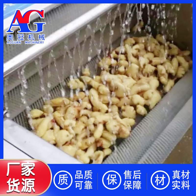 樱桃萝卜清洗机 小青柠檬软毛刷清洗泥沙杂质设备 百香果毛刷刷洗