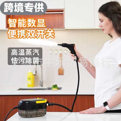 3Bar6档双控数显高温高压蒸汽清洁机布艺油烟清洗机Steam Cleaner