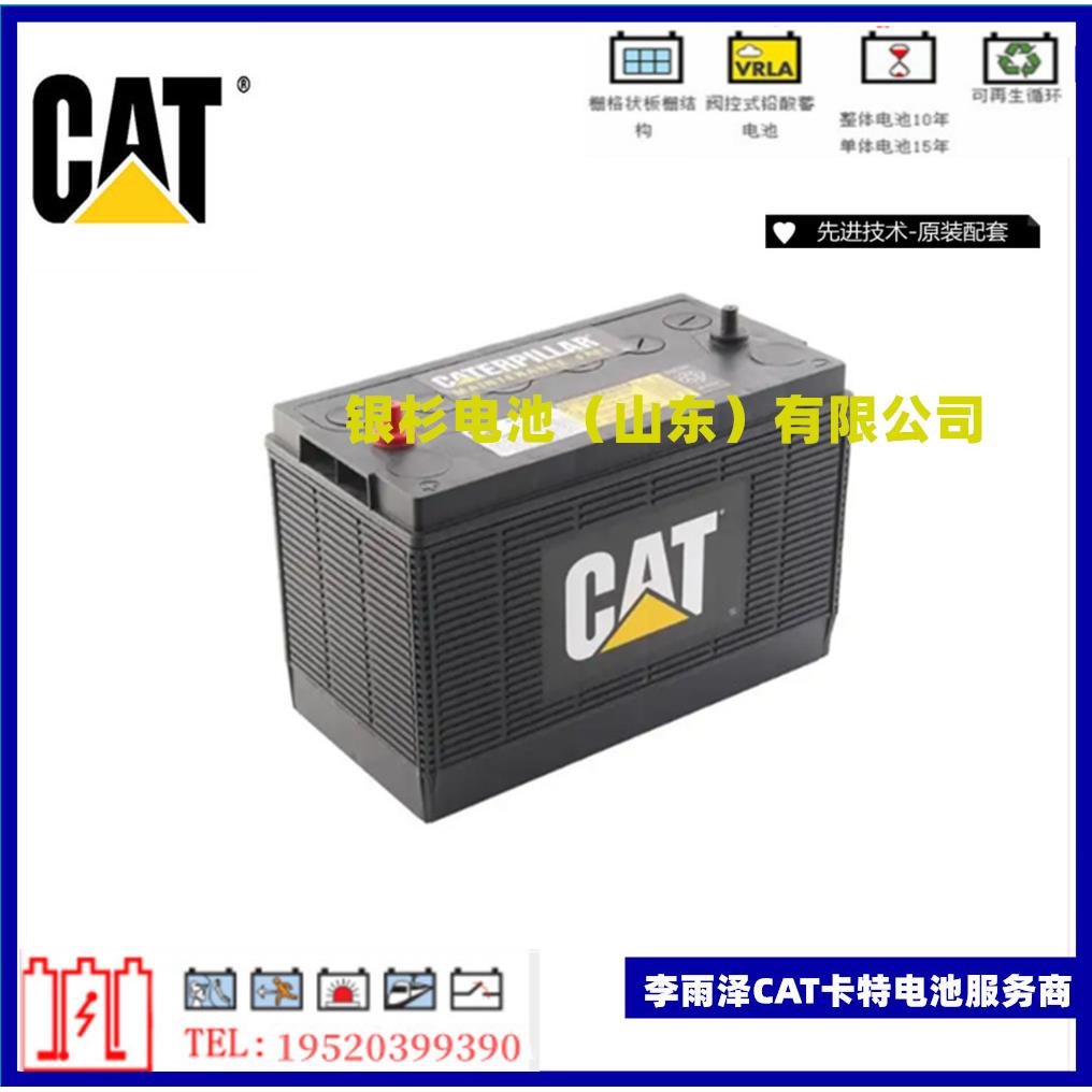 德国卡特比勒175-4390发动机电瓶CAT卡特蓄电池12V90AH船舶卡特