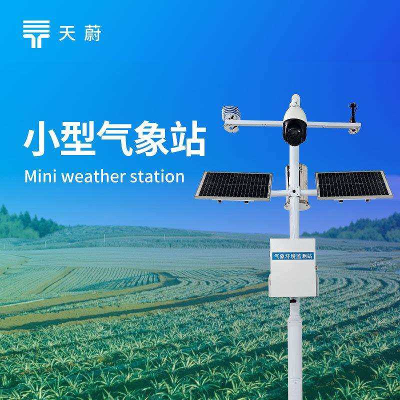 自动小型气象站机械式气象站自动气象监测系统多功能气象站设备,电子/电工,接线端子,淘宝优惠券,粉丝福利购,淘宝优惠卷
