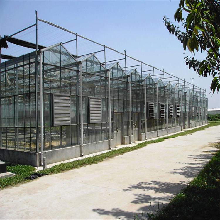 新品山东 pc板玻璃温室骨架大棚智能农业观光花卉展览参观基