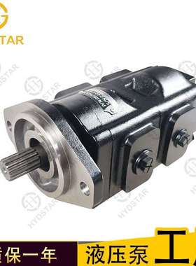 JCB高压双联齿轮泵20/925366 20/925586 333/C5234 333/G5392