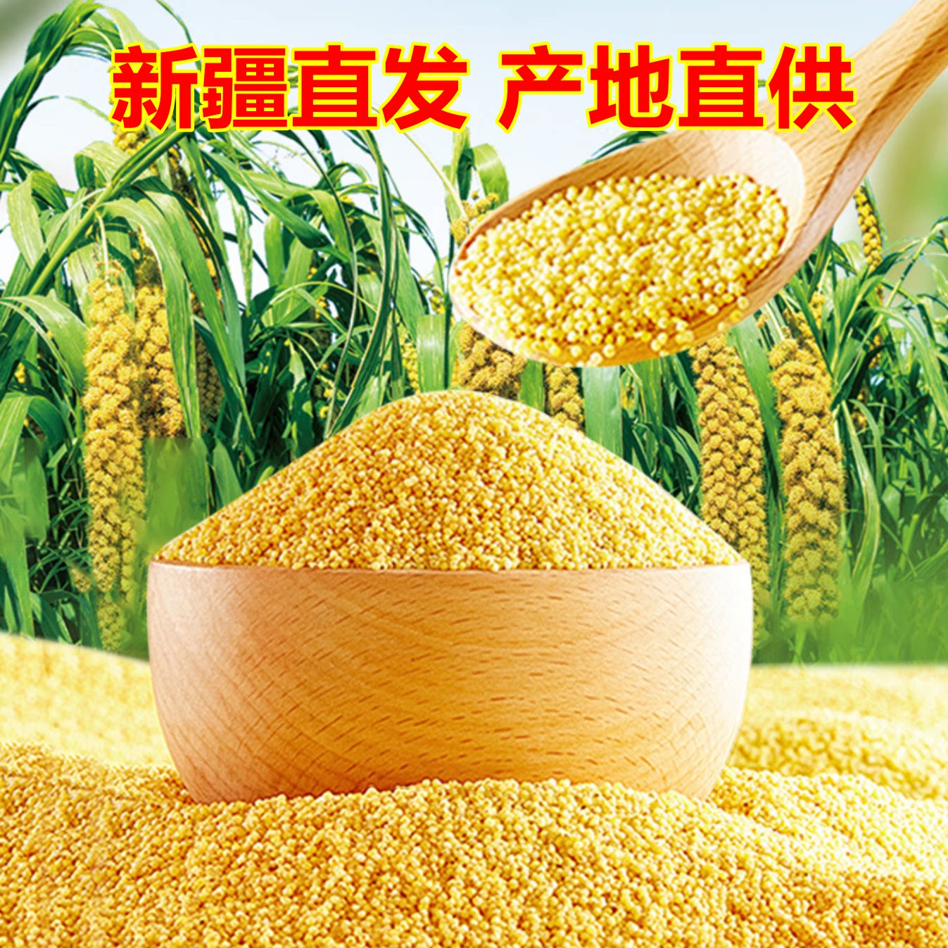 新疆沙漠小米长寿之乡新米2.5kg
